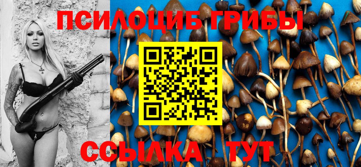 Галлюциногенные грибы Psilocybe Азнакаево